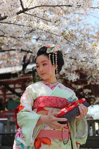 maiko-001