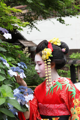 maiko-003